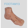 Foot Acupuncture Model (13cm)